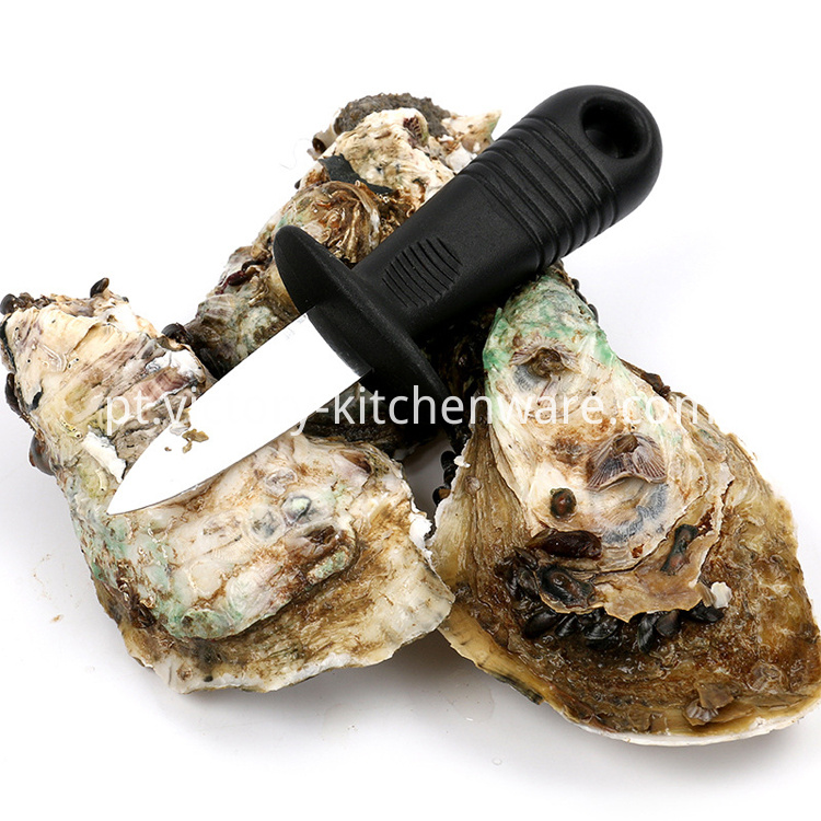 faca de ostra oyster knife